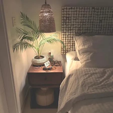 Casa Bonsol Punta Lara 네르하